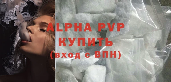 ГАЛЛЮЦИНОГЕННЫЕ ГРИБЫ Белокуриха