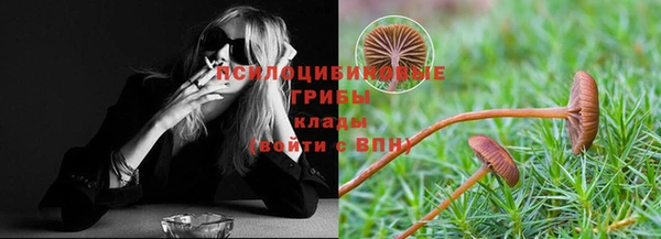 прущая мука Белоозёрский