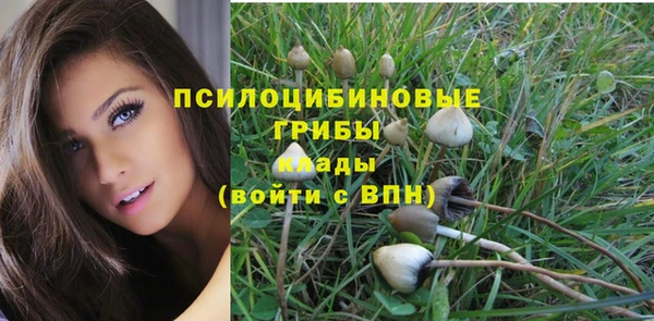 мдпв Протвино