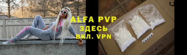 ГАЛЛЮЦИНОГЕННЫЕ ГРИБЫ Белокуриха
